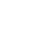 Icon13