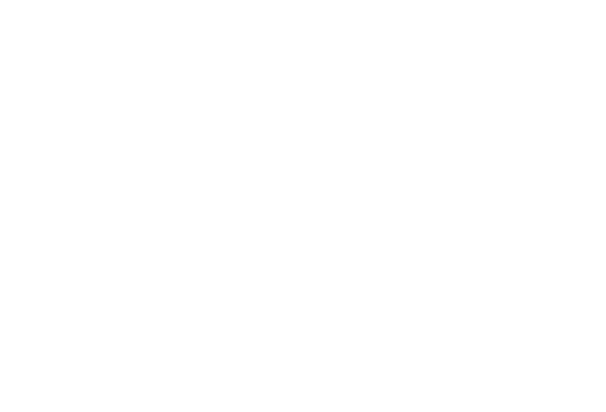 Icon16