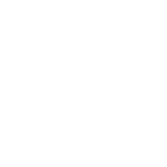 Icon19
