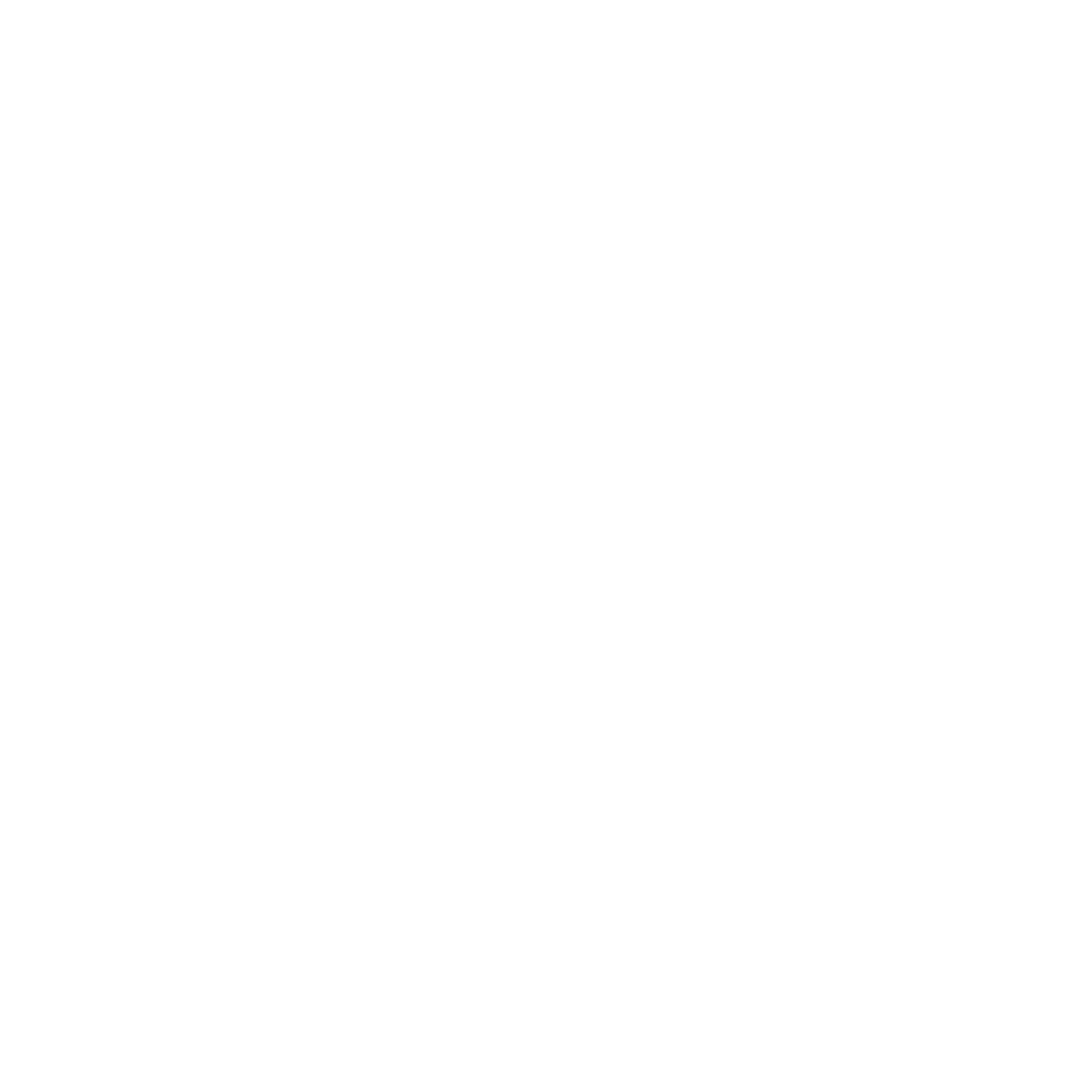 Icon6